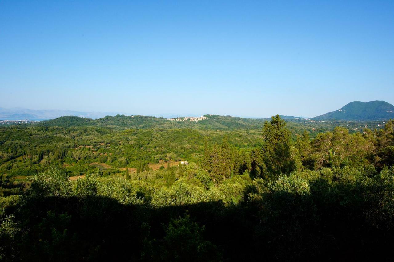 Aurora Apartment Corfu Pelekas Zewnętrze zdjęcie