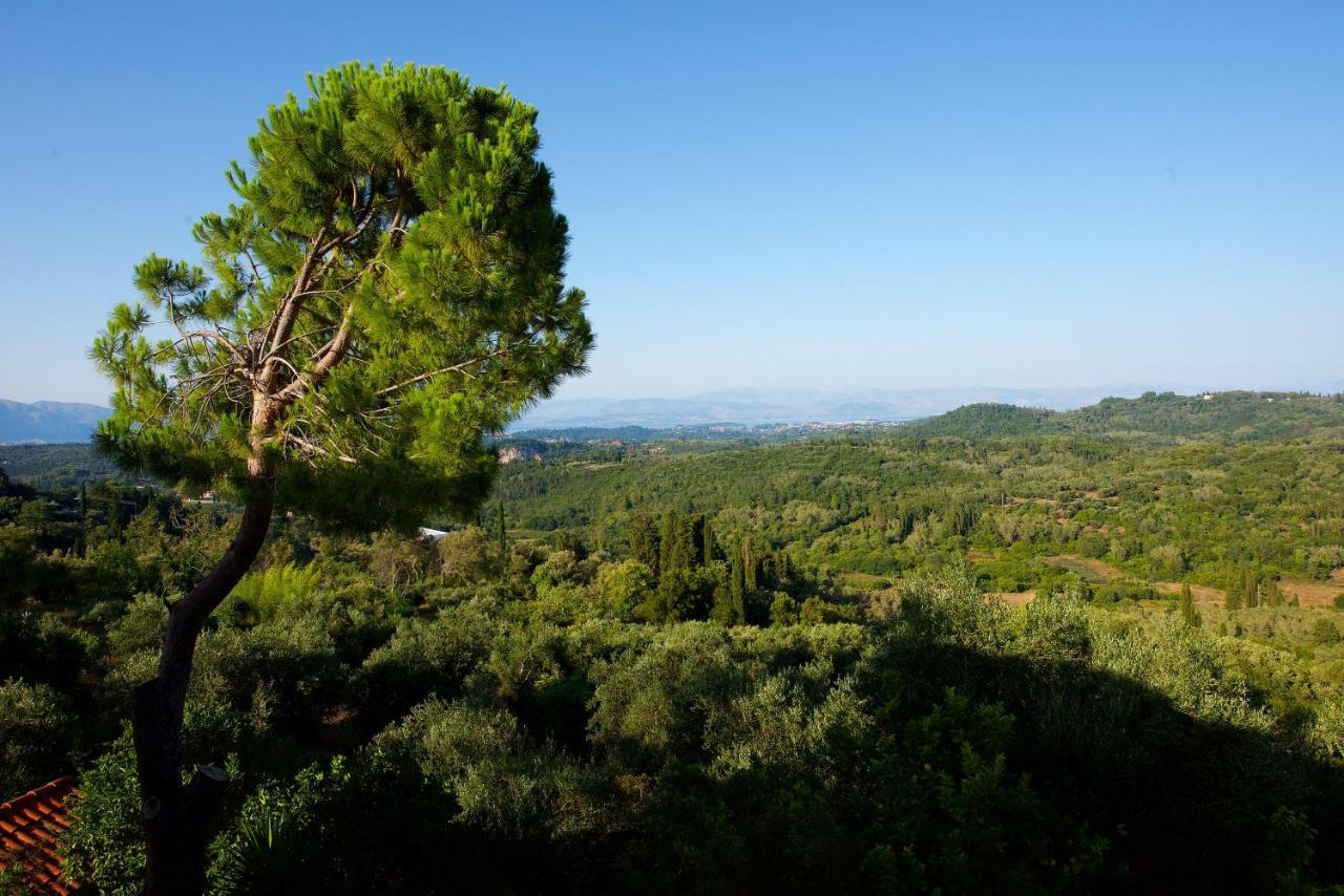 Aurora Apartment Corfu Pelekas Zewnętrze zdjęcie